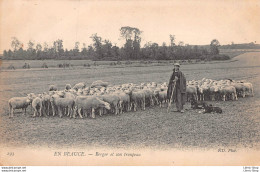 Agriculture - Élevage - En Beauce (28) CPA 1905 -Troupeau De Moutons, Berger, Chiens - N.D PHOT N°293 - Altri & Non Classificati