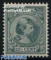 Netherlands 1891 22.5c, Stamp Out Of Set, Unused (hinged) - Neufs