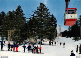 Les Champs De Neige De La Haute Auvergne - SUPER-LIORAN (63) - Ski Skieurs Téléphérique - Éd. THÉOJAC - Sonstige & Ohne Zuordnung