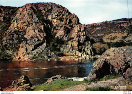 ENVIRONS DE ROANNE (42) En 1979 - Les Gorges De La Loire - Éd. LA CIGOGNE - Other & Unclassified