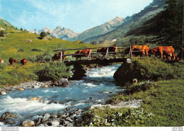 QUEYRAS - Environs De Valpréveyre (05) - Le Torrent La Guisane - Troupeau De Vaches Pâturages - Éd. ANDRÉ - Sonstige & Ohne Zuordnung