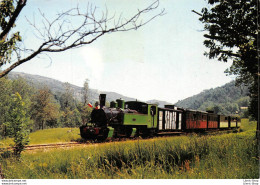 Trains - Chemin De Fer Du Vivarais (07) - Ligne De Tournon - Lamastre - ÉD. C.F.T.M. - Lamastre