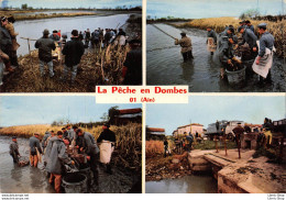 La Pêche En Dombes (01). Étang Vidé, Pêche à L'épuisette, Triage Et Expédition Du Poisson 1975 -Éd. COMBIER - Unclassified