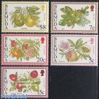 Bermuda 1994 Fruits 5v (without Year), Mint NH, Nature - Fruit - Frutta