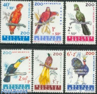 Belgium 1962 Birds 6v, Mint NH, Nature - Birds - Parrots - Toucans - Ungebraucht