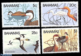 Bahamas 1981 Birds 4v, Mint NH, Nature - Birds - Ducks - Sonstige & Ohne Zuordnung