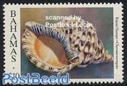 Bahamas 1996 Shell 1v (with Year 1996), Mint NH, Nature - Shells & Crustaceans - Mundo Aquatico