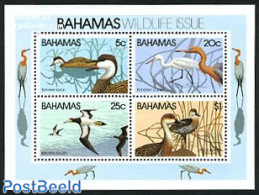 Bahamas 1981 Birds S/s, Mint NH, Nature - Birds - Ducks - Altri & Non Classificati