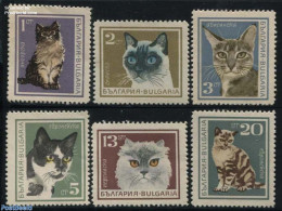 Bulgaria 1967 Cats 6v, Mint NH, Nature - Cats - Nuevos