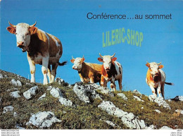 CPSM ± 1970 CONFÉRENCE .... AU SOMMET # VACHES # HUMOUR - Vacas