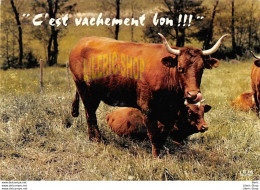 CPSM 1971 ∭C'EST VACHEMENT BON∭# VACHES # HUMOUR # CACHET POSTAL PAULHAGUET ▬ ÉDIT. THÉOJAC - Vacas