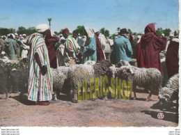 SCENES & TYPES D'AFRIQUE DU NORD - LES SOUKS - LE MARCHÉ AUX MOUTONS- ÉD. A.SIRECKY - Scenes