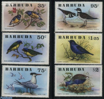 Barbuda 1976 Birds 6v, Mint NH, Nature - Birds - Barbuda (...-1981)