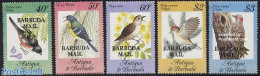 Barbuda 1984 Birds 5v, Mint NH, Nature - Birds - Woodpeckers - Barbuda (...-1981)