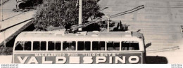 VINTAGE POSTCARD ±1950 -  Cádiz - Avenue Ramon De Carranza - Trolleybus Avec Publicité VALDESPINO - Éd. AISA - Reclame
