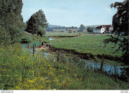DELLE ( 90 ) - CPSM ±1970 - L'Allaine - La Baignade - ÉD. COMBIER - Delle
