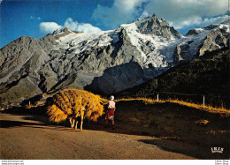 CPM 1998 -  Retour Des Foins Et Massif De LA  MEIJE (05) - ÉD. CAP - Sonstige & Ohne Zuordnung