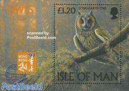 Isle Of Man 1997 Owls S/s, Mint NH, Nature - Birds - Owls - Man (Eiland)