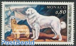 Monaco 1977 Dog Exposition 1v, Mint NH, Nature - Dogs - Ongebruikt