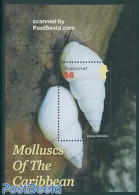 Montserrat 2005 Molluscs Of The Caribbean S/s, Mint NH, Nature - Shells & Crustaceans - Meereswelt
