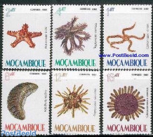Mozambique 1982 Marine Life 6v, Mint NH, Nature - Shells & Crustaceans - Meereswelt