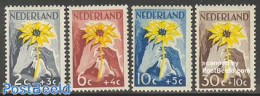 Netherlands 1949 Niwin 4v, Mint NH, Nature - Flowers & Plants - Unused Stamps