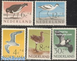Netherlands 1961 Summer, Birds 5v, Mint NH, Nature - Birds - Ongebruikt