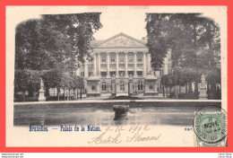 BRUSSEL BRUXELLES CPA  1902 - PALAIS DE LA NATION Siège Du Sénat Et De La Chambre Des Représentants  - Bauwerke, Gebäude
