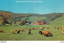 US POSTCARD # Cows Out To Pasture And Another Day Begins On The Farm. Photo By Free Lance Photographers Guild,  - Mucche