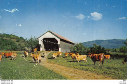 US POSTCARD In True Vermont Fashion Even Cows Have The Casual Use Of Covered Bridges.Color Photo By George French - Koeien