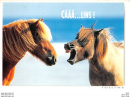 CPM HUMOUR COMIC " CAAAA....LINS ! " # CHEVAUX # HORSES - PHOTO IFA-DIAF - Chevaux