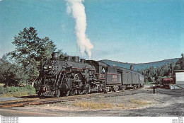 BOSTON & MAINE 3700 - A STOP AT FABYAN, N.H. FOR B&M PACIFIC, 22 07 1950 # TRAINS # US - Eisenbahnen