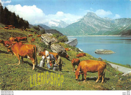 BEAUFORTIN (74) CPSM ±1970 Alpage Au Barrage De  Roselen - La Traite Des Vaches Cows # Agriculture - Koeien