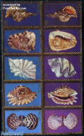 Palau 1984 Shells 10v [++++], Mint NH, Nature - Shells & Crustaceans - Meereswelt