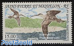 Saint Pierre And Miquelon 1996 Birds 1v, Mint NH, Nature - Birds - Andere & Zonder Classificatie