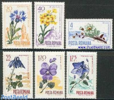 Romania 1967 Flowers 6v, Mint NH, Nature - Flowers & Plants - Nuevos