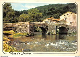 [63] L'AUVERGNE PITTORESQUE Le Vieux Pont De SAURIER Sur La Couze-Pavin - Sonstige & Ohne Zuordnung
