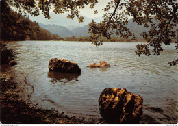 [63]  LAC CHAMBON (Puy-de-Dôme) L'un Des Plus Beaux, Le Plus Beau Des Lacs D'Auvergne... - Other & Unclassified