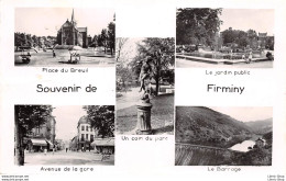 Souvenir De Firminy (42) Le Jardin Public Un Coin Du Parc Avenue De La Gare Le Barrage - Firminy