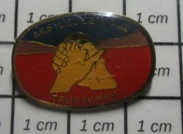 711e Pin's Pins / Beau Et Rare / THEME : ASSOCIATIONS / AES LEUCEMIQUE TRUTTEMER POIGNEE DE MAINS - Verenigingen