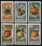 Albania 1965 Fruits 6v, Mint NH, Nature - Fruit - Frutta