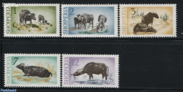Albania 1965 Water Buffel 5v, Mint NH, Nature - Animals (others & Mixed) - Cattle - Albania