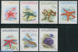 Albania 1966 Marine Life 7v, Mint NH, Nature - Shells & Crustaceans - Meereswelt