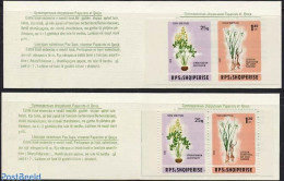 Albania 1986 Flowers 2 Booklets (perforated & Imperforated), Mint NH, Nature - Flowers & Plants - Stamp Booklets - Ohne Zuordnung