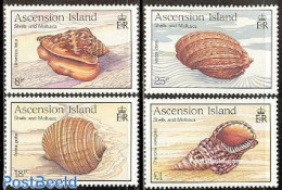 Ascension 1989 Shells 4v, Mint NH, Nature - Shells & Crustaceans - Mundo Aquatico