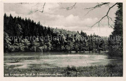 72638353 Friedrichsbrunn Harz Erichsburger Teich Friedrichsbrunn - Autres & Non Classés