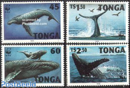 Tonga 1996 WWF, Humpback Whale 4v, Mint NH, Nature - Sea Mammals - World Wildlife Fund (WWF) - Autres & Non Classés