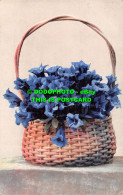 R503205 Blue Flowers In Basket. Nenke And Ostermaier. Serie 542. Nr. 1148 - Monde