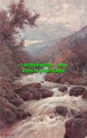 R502975 C. W. Faulkner. Series 1334. On The West Okement River At Okehampton - Monde