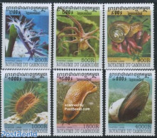 Cambodia 1999 Moluscs 6v, Mint NH, Nature - Shells & Crustaceans - Meereswelt